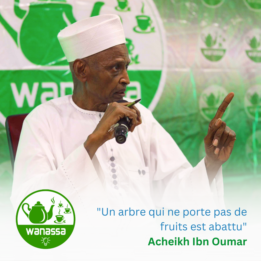 le-tchad-a-travers-les-yeux-de-lambassadeur-acheikh-ibn-oumar-un-parcours-inspirant